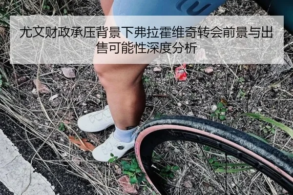 尤文财政承压背景下弗拉霍维奇转会前景与出售可能性深度分析